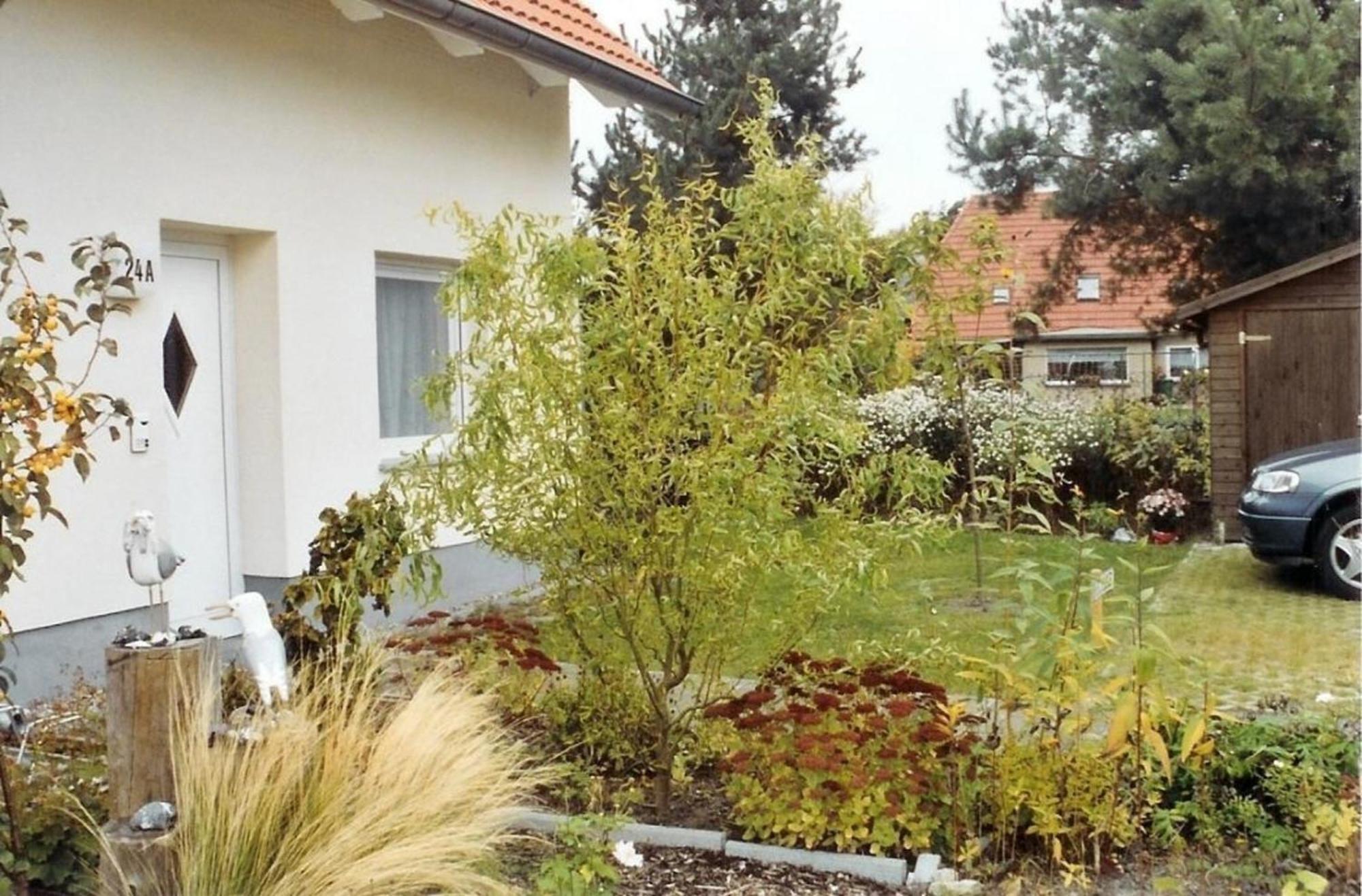 Ferienwohnung Moewe Цингст Экстерьер фото